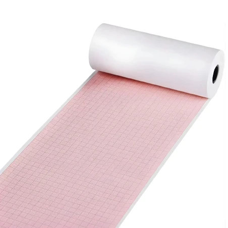 EKG Kağıdı 110 mm x 30 m Termal Rulo - medikazon.com
